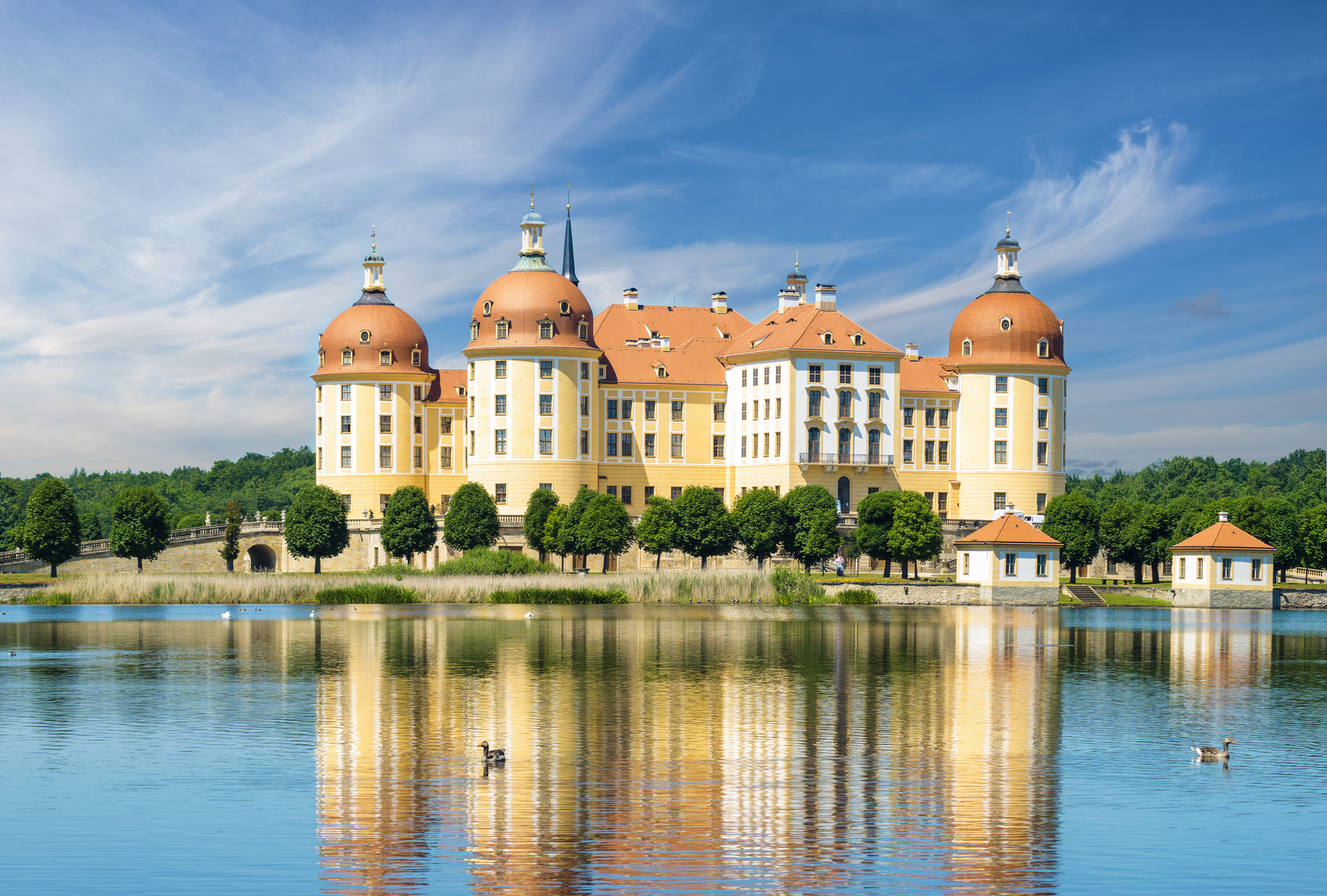 Lebensfreunde Dresden